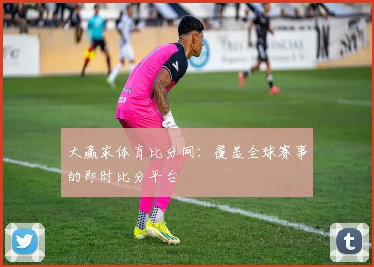 大赢家体育比分网:覆盖全球赛事的即时比分平台