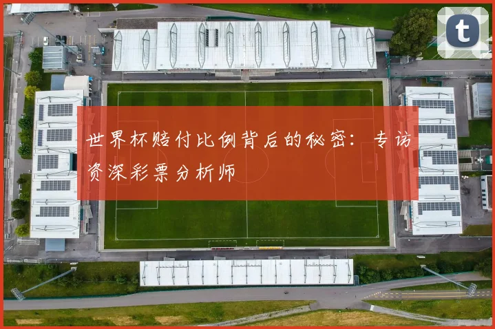 世界杯赔付比例背后的秘密：专访资深彩票分析师