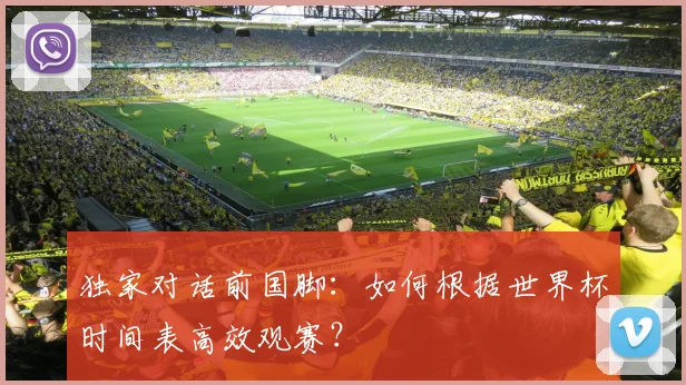 独家对话前国脚：如何根据世界杯时间表高效观赛？