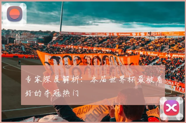 专家深度解析：本届世界杯最被看好的夺冠热门