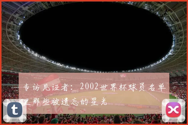 专访见证者：2002世界杯球员名单里那些被遗忘的星光