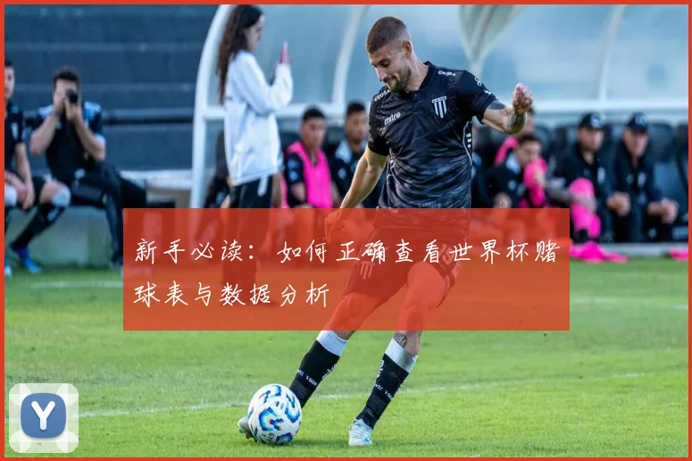 新手必读：如何正确查看世界杯赌球表与数据分析