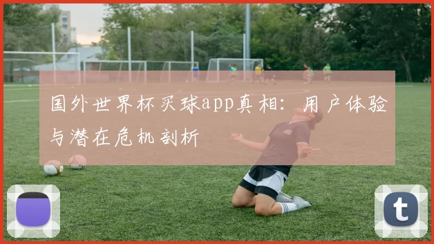 国外世界杯买球app真相：用户体验与潜在危机剖析