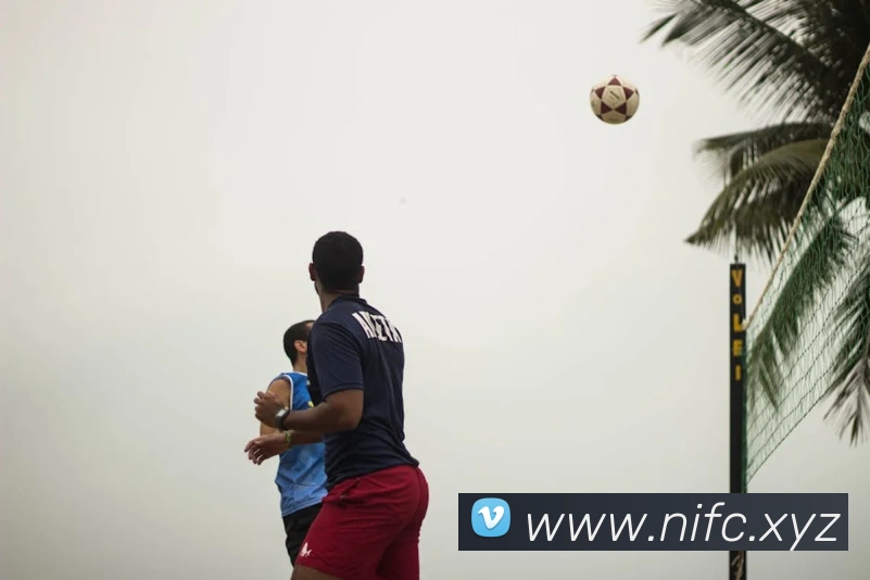 米兰网官网登录入口APP 封面图